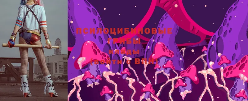 Галлюциногенные грибы MAGIC MUSHROOMS  hydra ТОР  Томск 